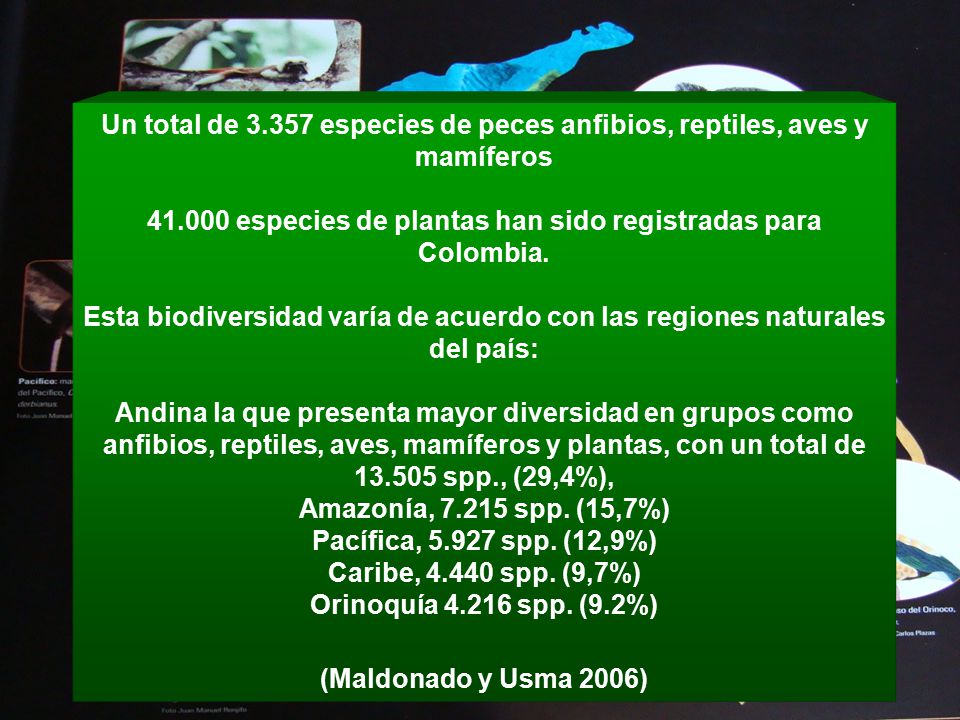 especies de plantas han sido registradas para Colombia.