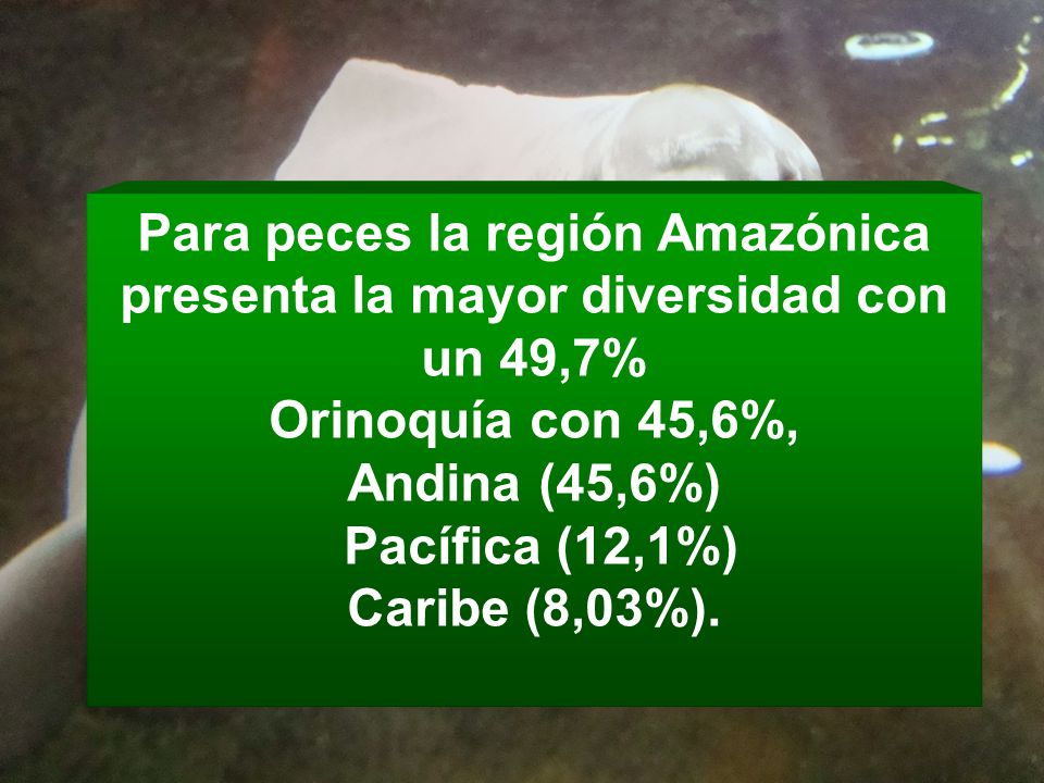Para peces la región Amazónica presenta la mayor diversidad con un 49,7%