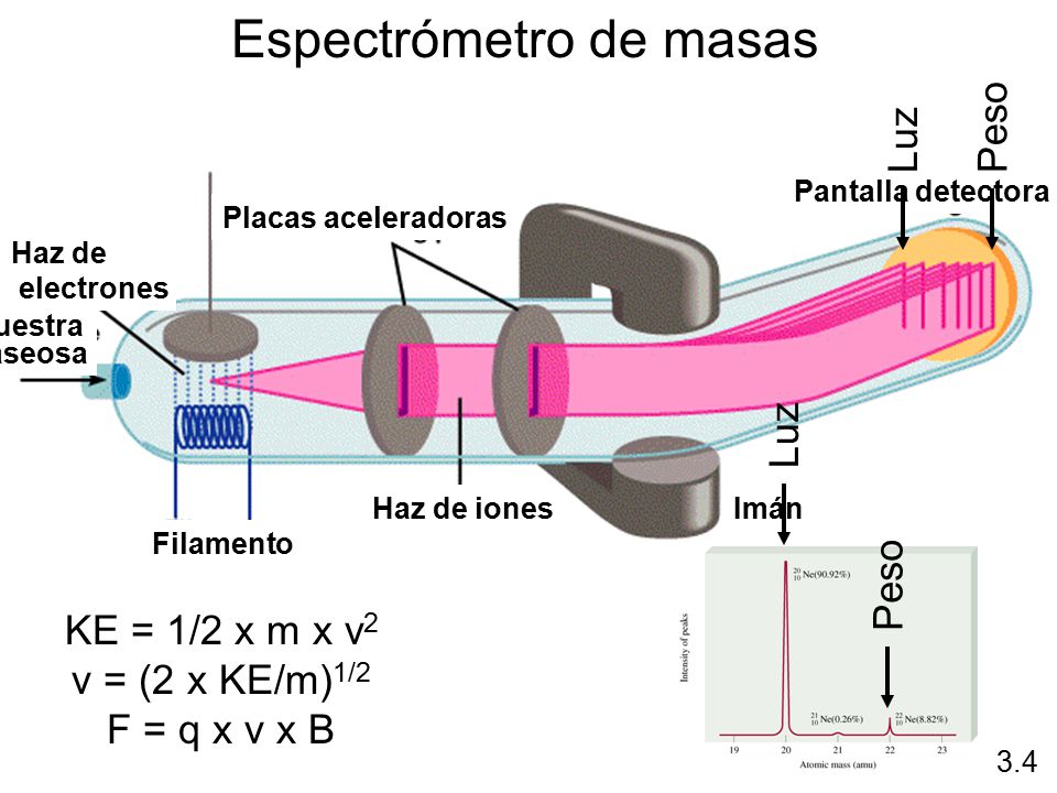 Espectrómetro de masas