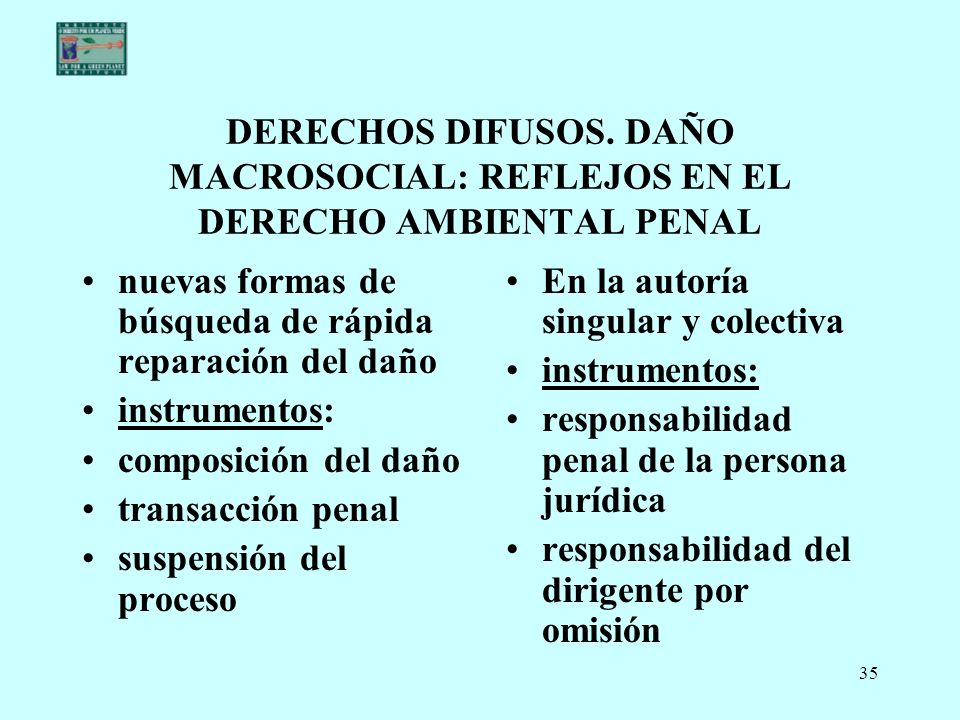 DERECHOS DIFUSOS. DAÑO MACROSOCIAL: REFLEJOS EN EL DERECHO AMBIENTAL PENAL