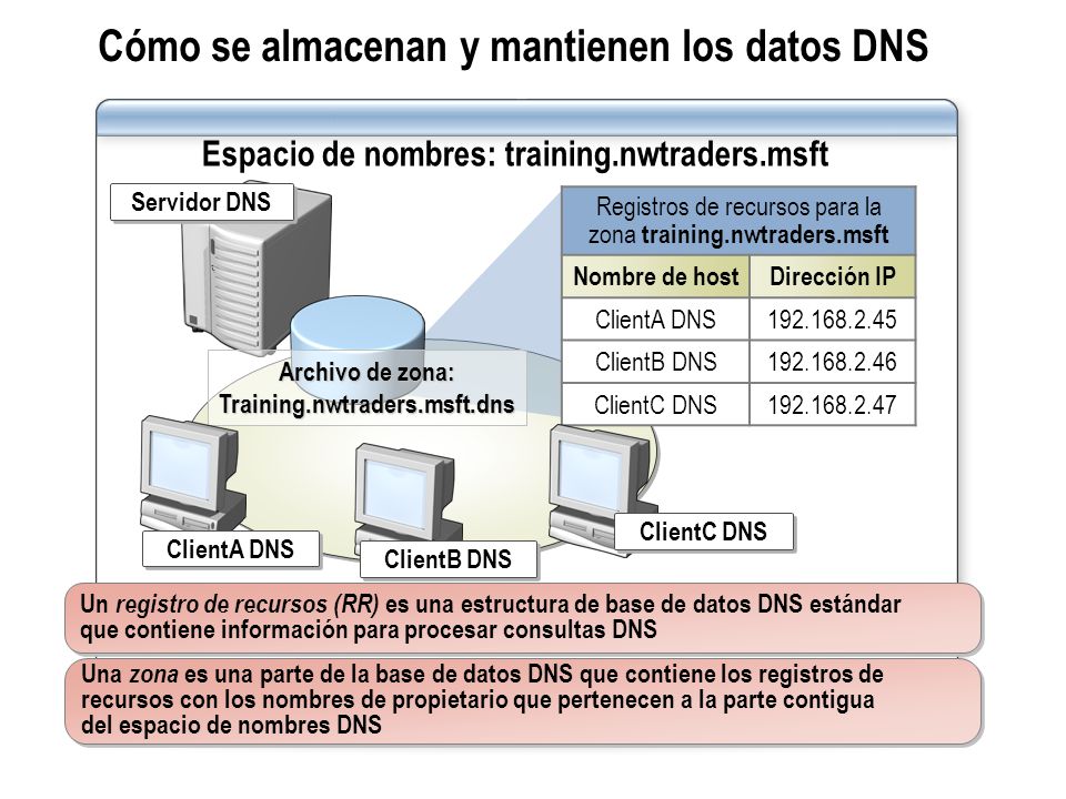 Cómo se almacenan y mantienen los datos DNS