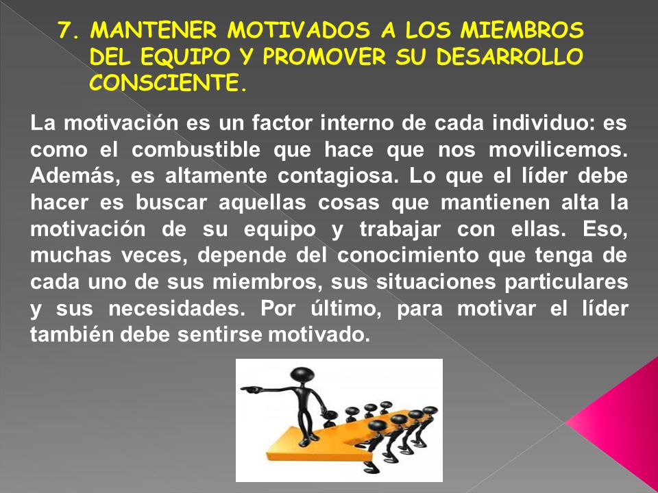 7. MANTENER MOTIVADOS A LOS MIEMBROS DEL EQUIPO Y PROMOVER SU DESARROLLO CONSCIENTE.