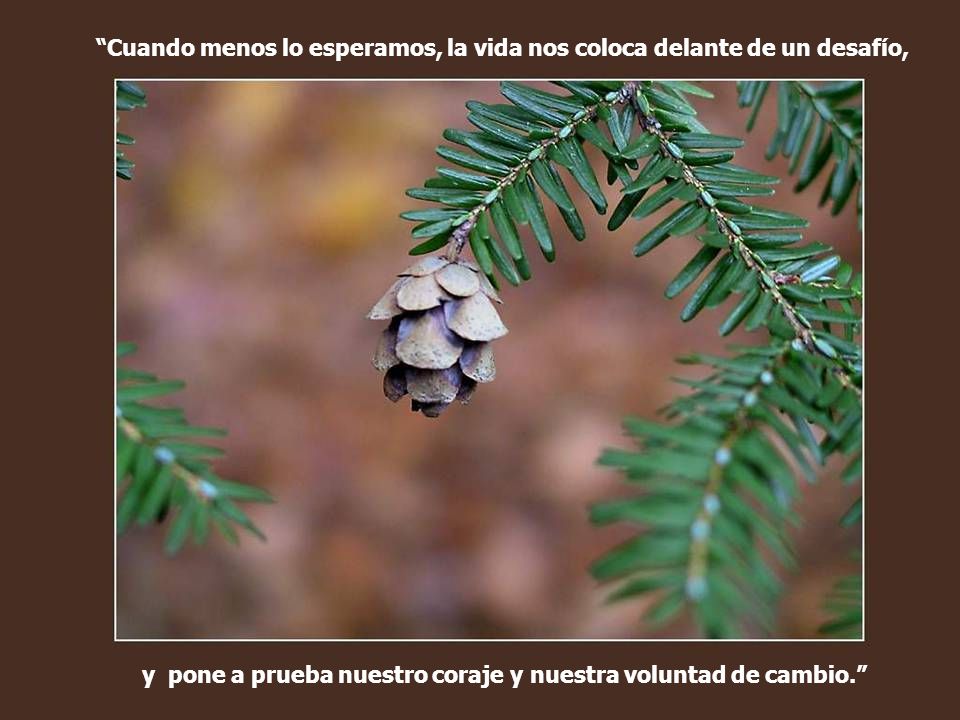 Cuando menos lo esperamos, la vida nos coloca delante de un desafío,