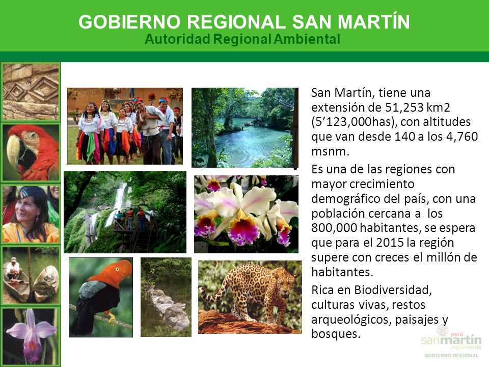 San Martín, tiene una extensión de 51,253 km2 (5’123,000has), con altitudes que van desde 140 a los 4,760 msnm.