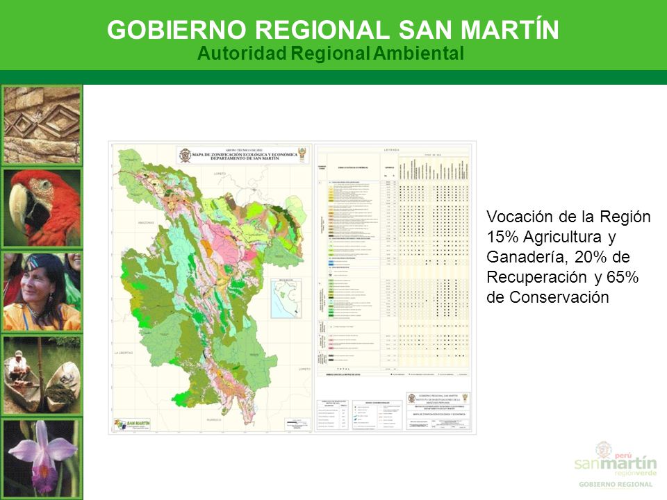 Vocación de la Región 15% Agricultura y Ganadería, 20% de Recuperación y 65% de Conservación