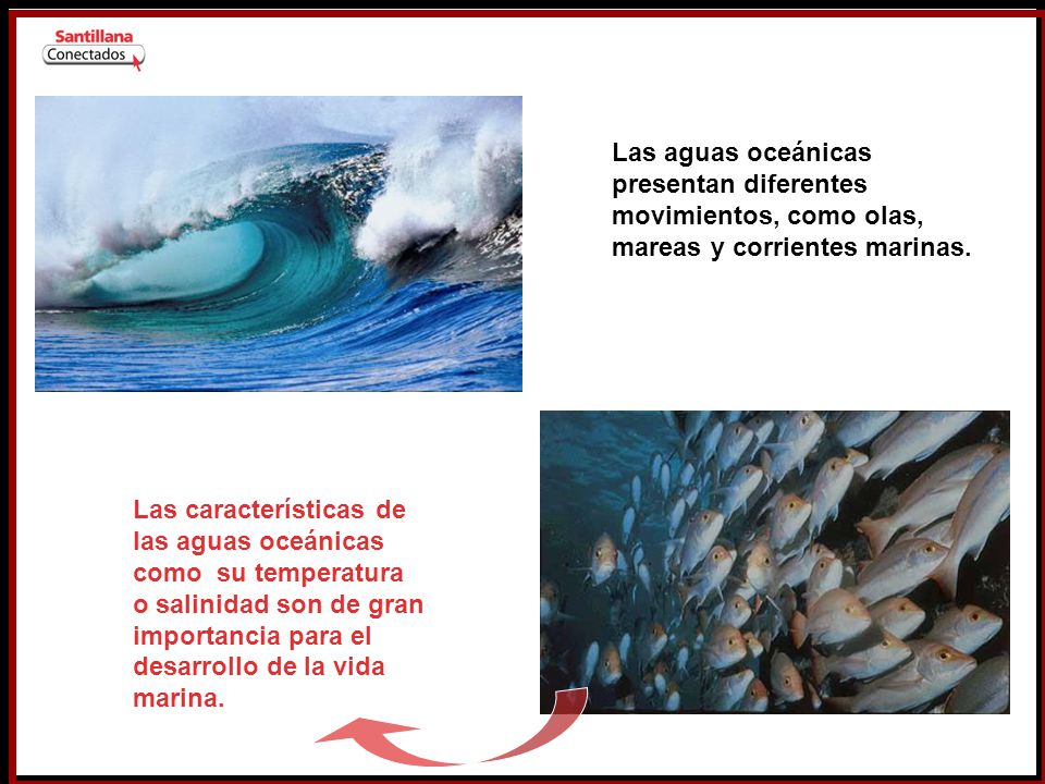 Las aguas oceánicas presentan diferentes movimientos, como olas, mareas y corrientes marinas.
