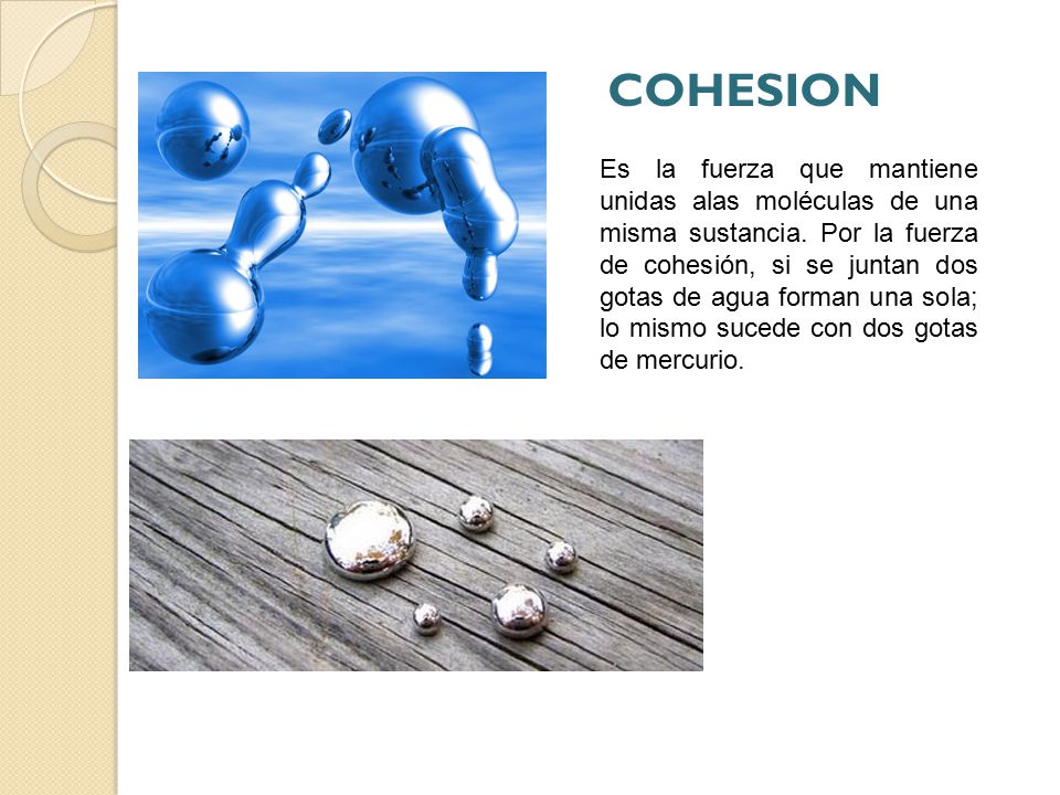 COHESION