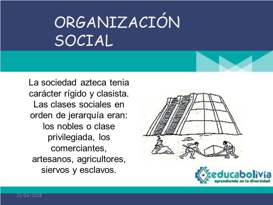 ORGANIZACIÓN SOCIAL
