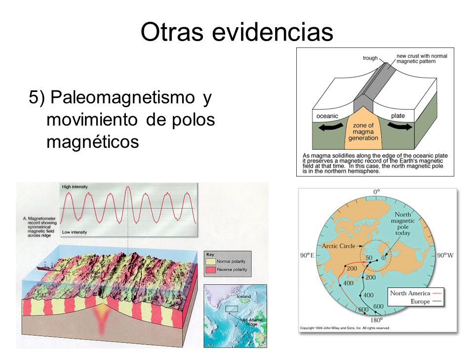 Otras evidencias 5) Paleomagnetismo y movimiento de polos magnéticos