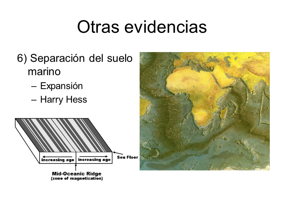 Otras evidencias 6) Separación del suelo marino Expansión Harry Hess