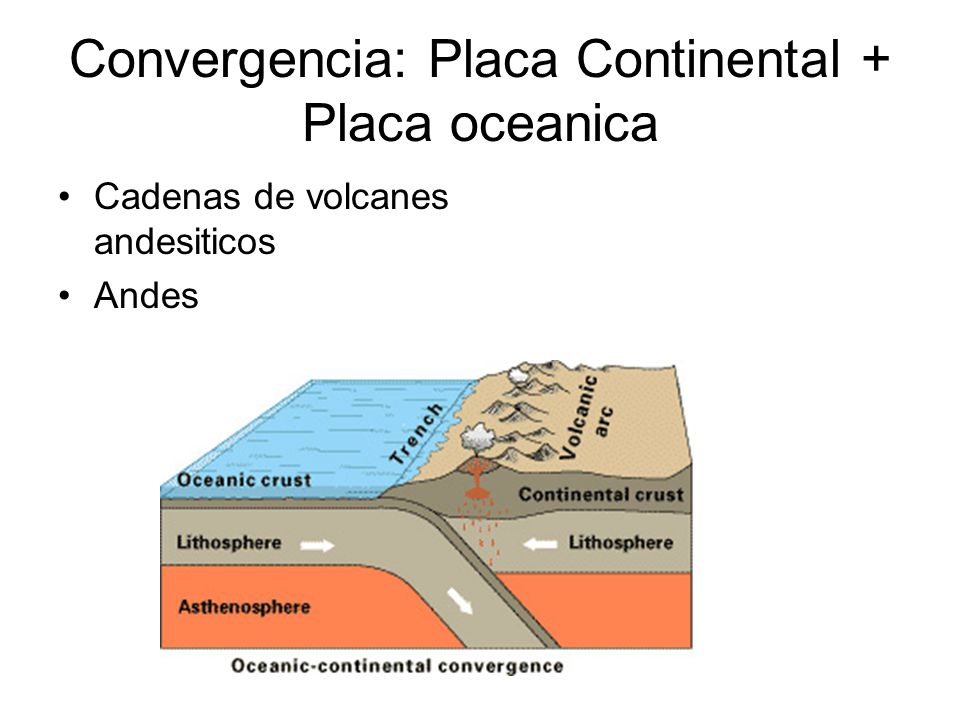 Convergencia: Placa Continental + Placa oceanica