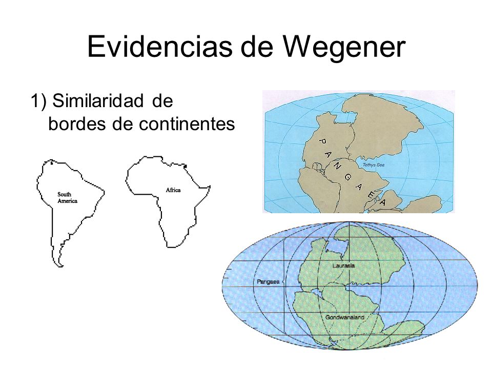 Evidencias de Wegener 1) Similaridad de bordes de continentes