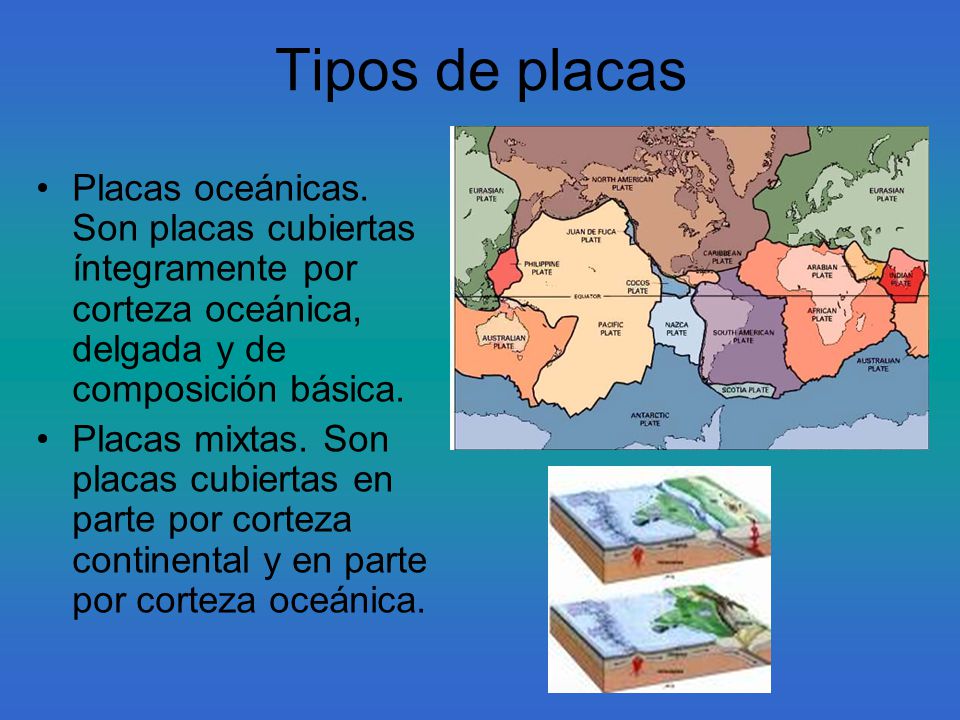 Tipos de placas Placas oceánicas. Son placas cubiertas íntegramente por corteza oceánica, delgada y de composición básica.