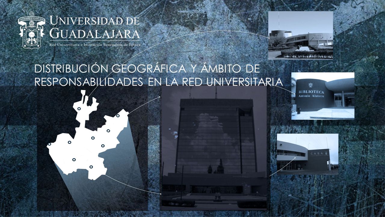 Distribución geográfica y ámbito de responsabilidades en la Red Universitaria
