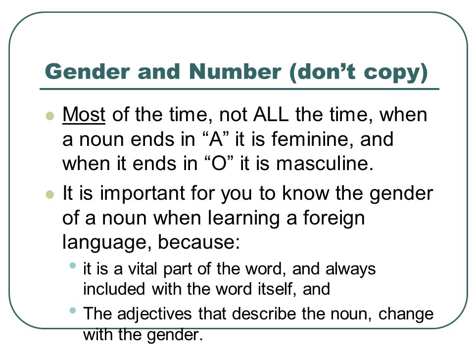 Gender and Number (don’t copy)