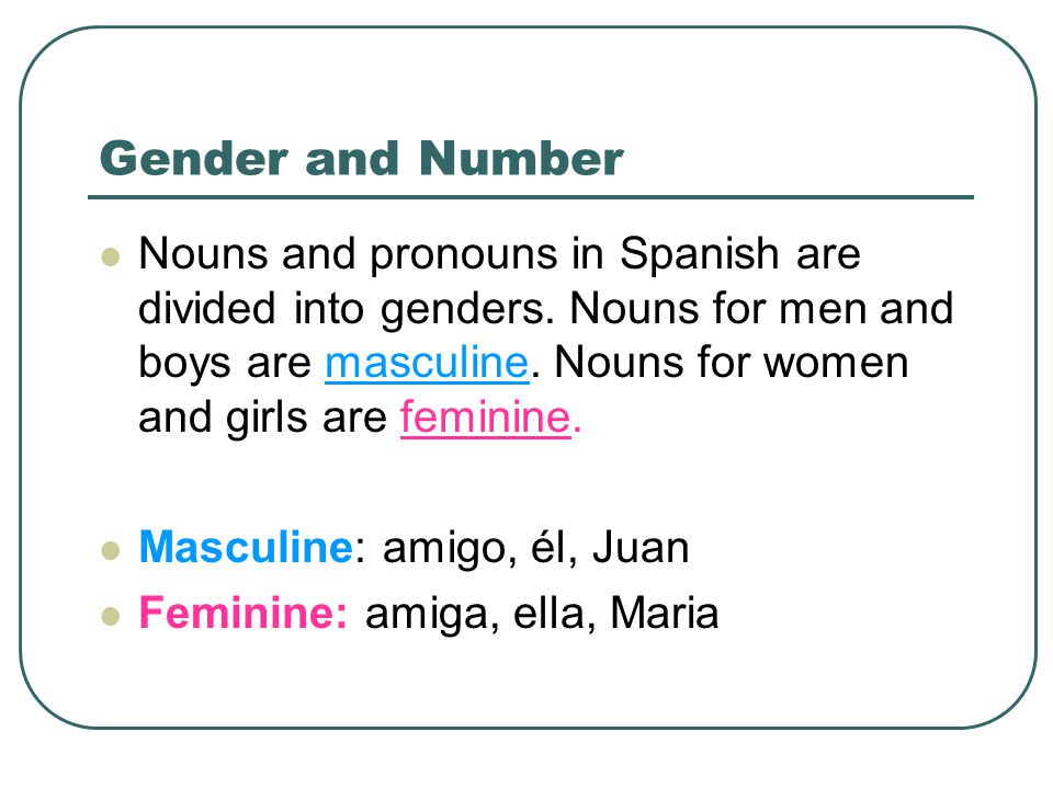 Gender and Number