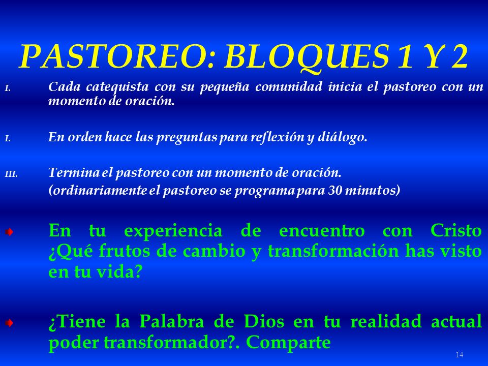 PASTOREO: BLOQUES 1 Y 2 Cada catequista con su pequeña comunidad inicia el pastoreo con un momento de oración.