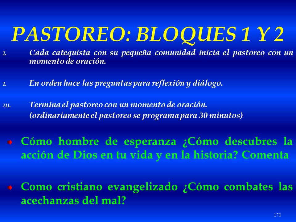 PASTOREO: BLOQUES 1 Y 2 Cada catequista con su pequeña comunidad inicia el pastoreo con un momento de oración.