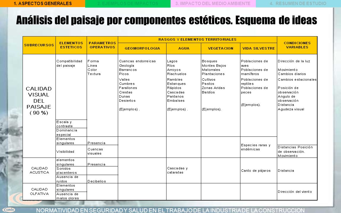 Análisis del paisaje por componentes estéticos. Esquema de ideas