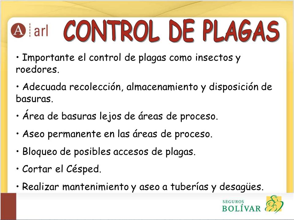 CONTROL DE PLAGAS Importante el control de plagas como insectos y roedores. Adecuada recolección, almacenamiento y disposición de basuras.