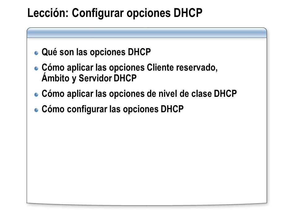 Lección: Configurar opciones DHCP