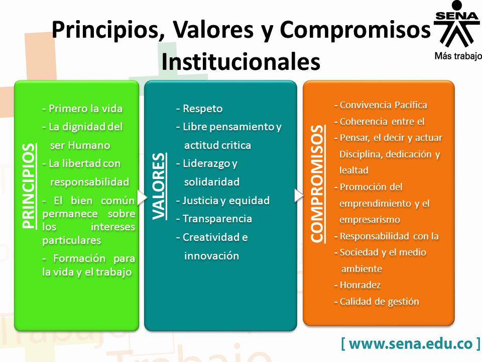 Principios, Valores y Compromisos Institucionales