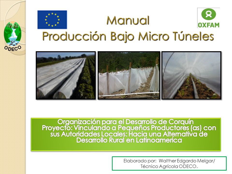 Manual Producción Bajo Micro Túneles