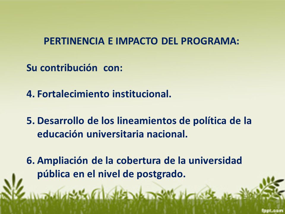 PERTINENCIA E IMPACTO DEL PROGRAMA: