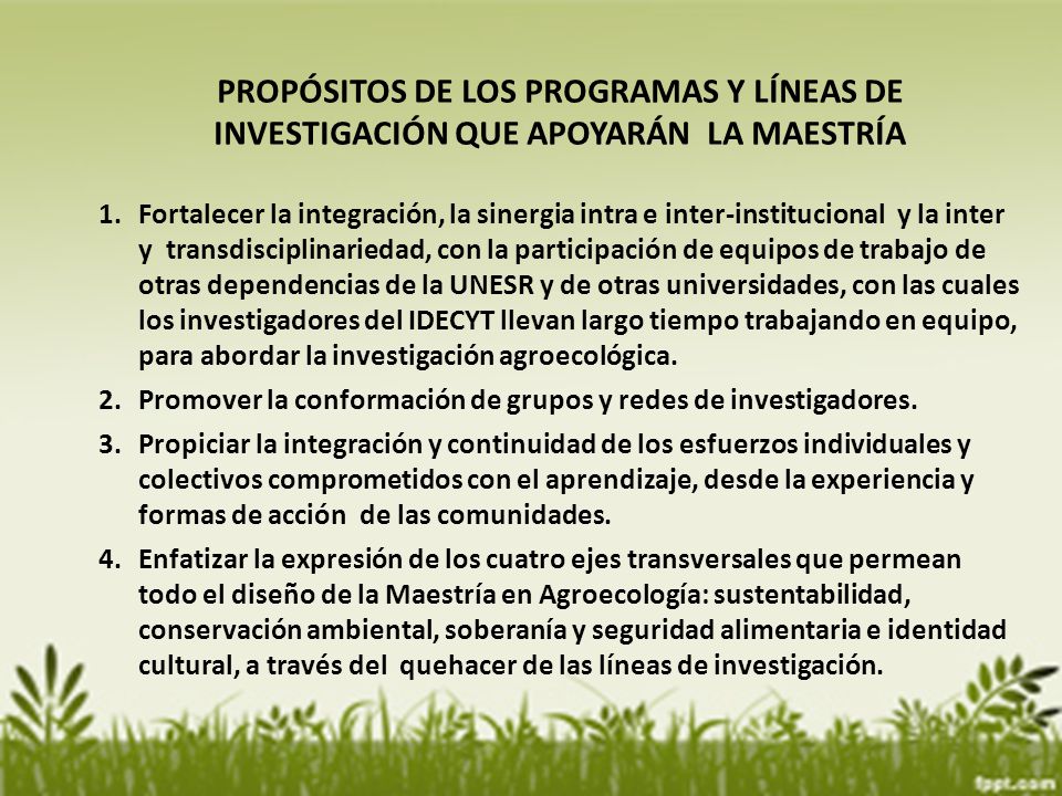 PROPÓSITOS DE LOS PROGRAMAS Y LÍNEAS DE INVESTIGACIÓN QUE APOYARÁN LA MAESTRÍA