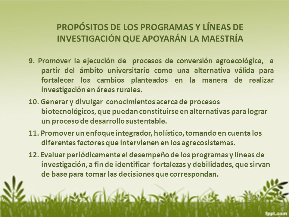 PROPÓSITOS DE LOS PROGRAMAS Y LÍNEAS DE INVESTIGACIÓN QUE APOYARÁN LA MAESTRÍA