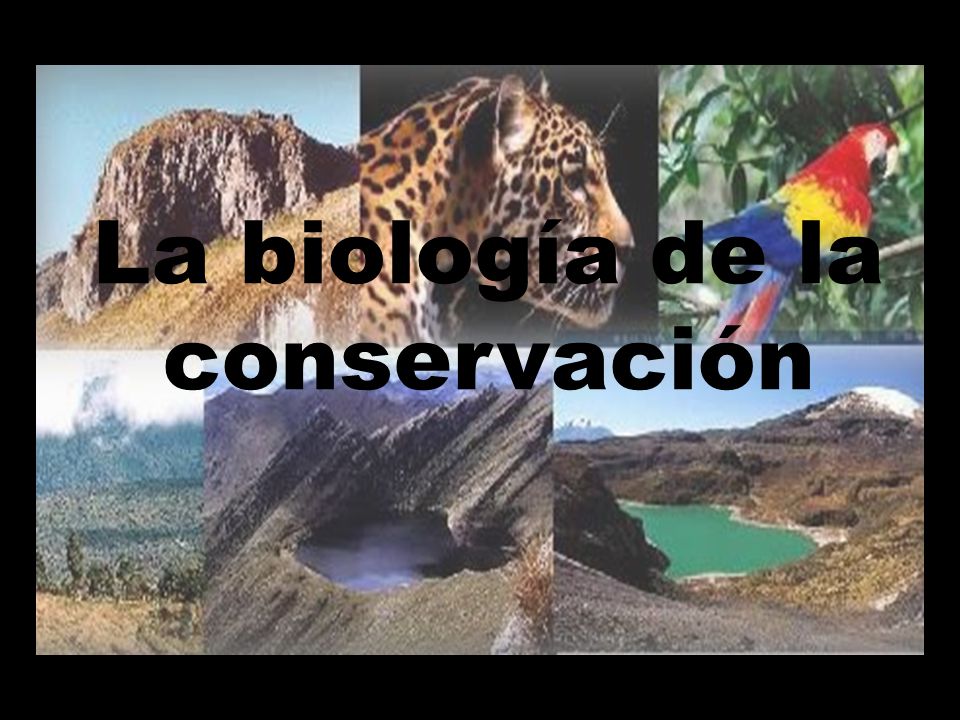 La biología de la conservación