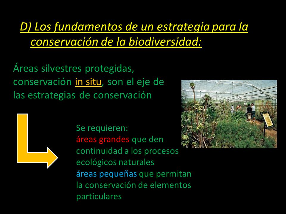 D) Los fundamentos de un estrategia para la conservación de la biodiversidad: