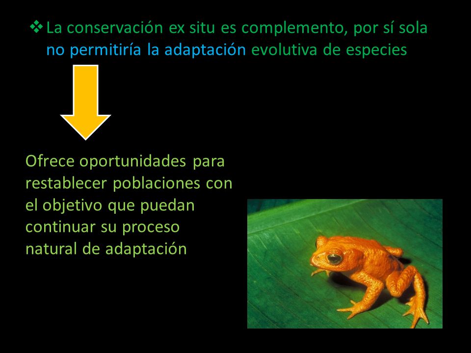 La conservación ex situ es complemento, por sí sola no permitiría la adaptación evolutiva de especies