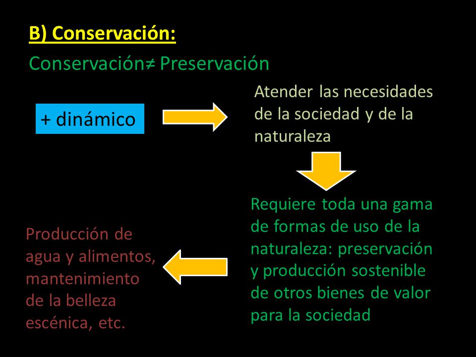 B) Conservación: Conservación≠ Preservación