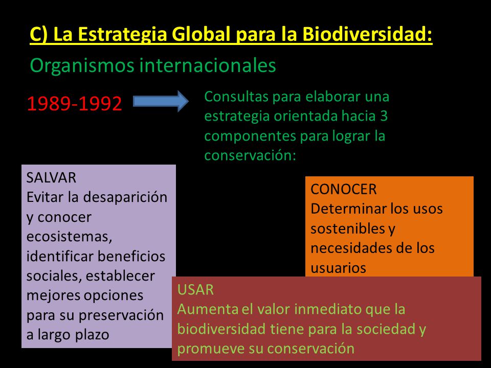 C) La Estrategia Global para la Biodiversidad: Organismos internacionales