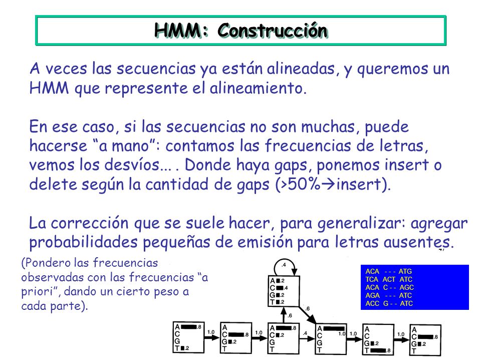 HMM: Construcción A veces las secuencias ya están alineadas, y queremos un HMM que represente el alineamiento.