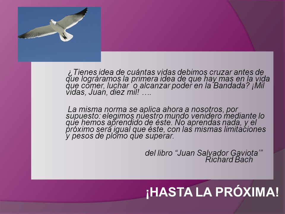 ¿Tienes idea de cuántas vidas debimos cruzar antes de que lográramos la primera idea de que hay mas en la vida que comer, luchar o alcanzar poder en la Bandada ¡Mil vidas, Juan, diez mil! ….