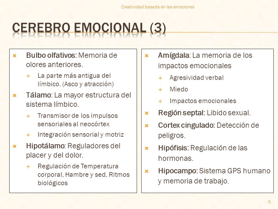 Cerebro emocional (3) Bulbo olfativos: Memoria de olores anteriores.