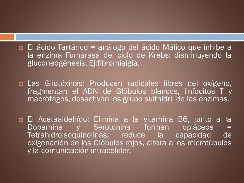 El ácido Tartárico = análogo del ácido Málico que inhibe a la enzima Fumarasa del ciclo de Krebs: disminuyendo la gluconeogénesis. Ej:fibromialgia.