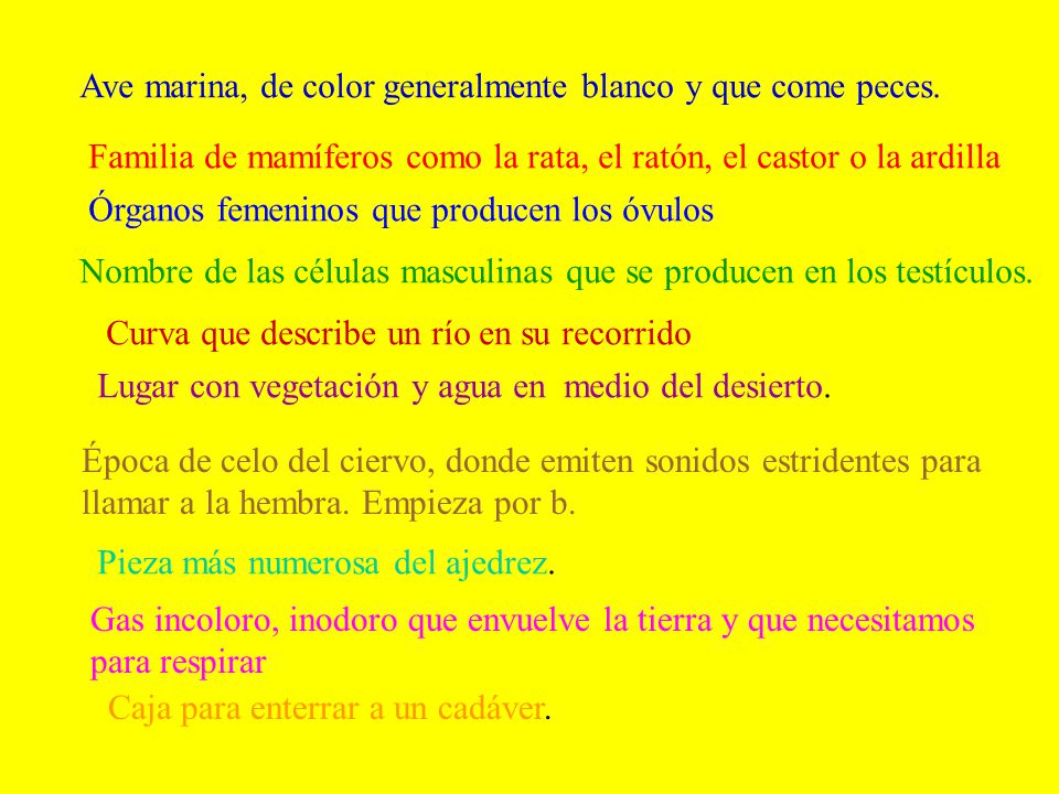Ave marina, de color generalmente blanco y que come peces.