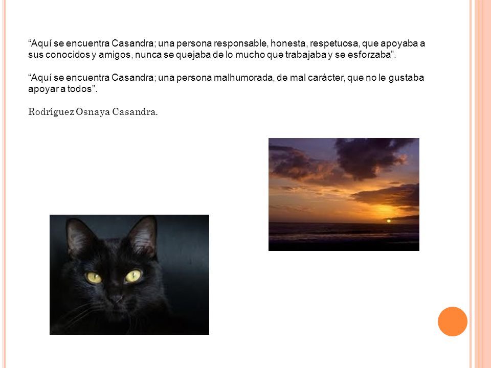 Aquí se encuentra Casandra; una persona responsable, honesta, respetuosa, que apoyaba a