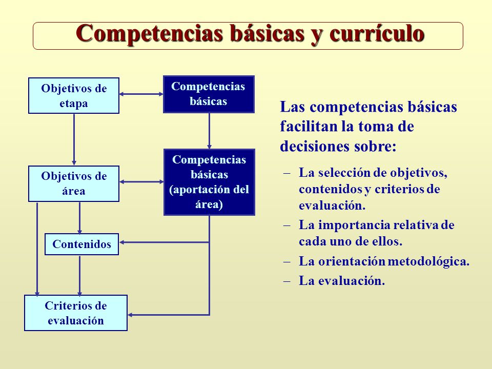 Competencias básicas y currículo