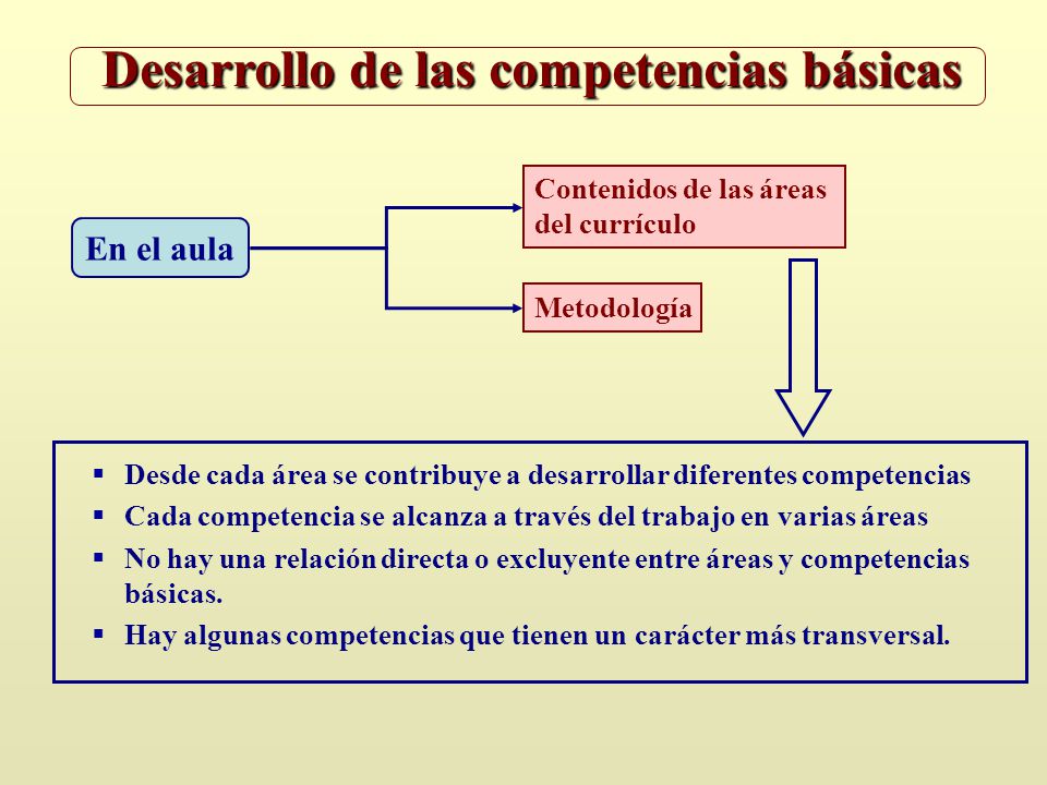 Desarrollo de las competencias básicas