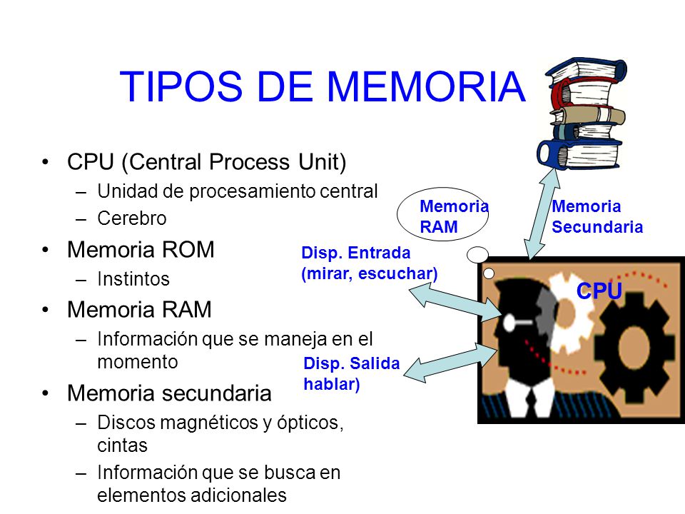 TIPOS DE MEMORIA CPU (Central Process Unit) Memoria ROM Memoria RAM