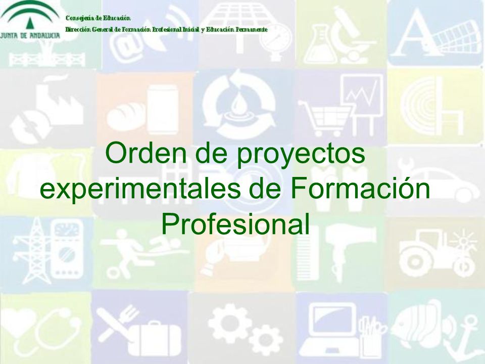 Orden de proyectos experimentales de Formación Profesional