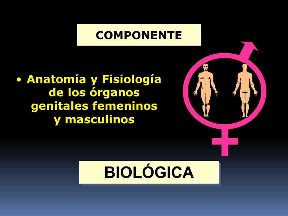 Anatomía y Fisiología de los órganos genitales femeninos y masculinos
