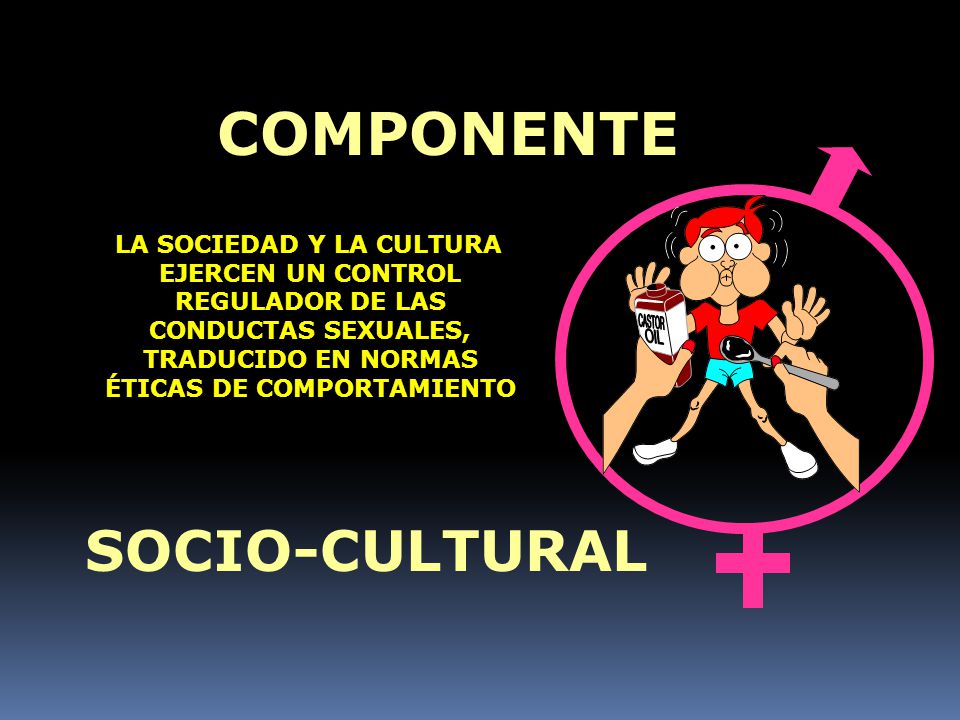 COMPONENTE SOCIO-CULTURAL
