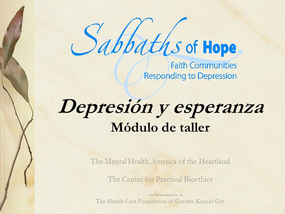 Depresión y esperanza Módulo de taller