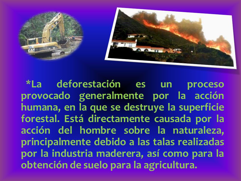 *La deforestación es un proceso provocado generalmente por la acción humana, en la que se destruye la superficie forestal.