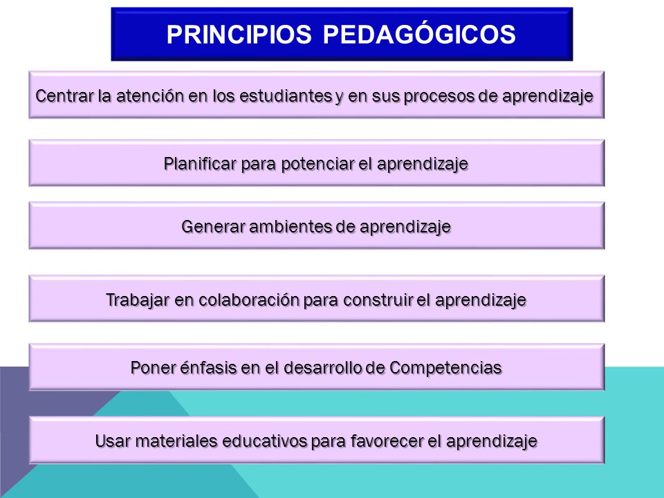 Principios pedagógicos